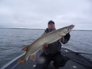 93001482-7A92-4427-ABE1-4464DF4E43B7