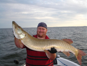 9323a78c-040d-4e0f-b069-f937d5b7fb8d