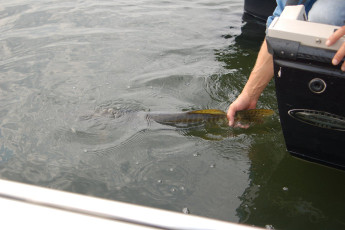 937B2CBC-0166-4809-9392-3C6AEF0ED6B7