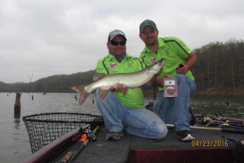 93B1DA50-462D-4462-96C3-C7C2998D40A4