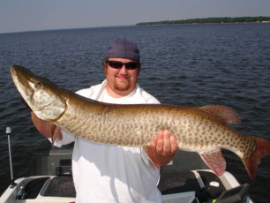 93c50e35-b085-4b9d-bf0f-83c2631e6461