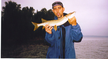 93d97962-2495-45b6-870d-749ad98ff978