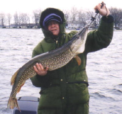 945354d0-5981-4c4c-bcff-a0f0df4c0670