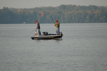 946E71CF-6A50-4BBD-9E32-A1E44789986B