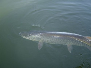 955E0CAD-C269-48AE-A0D8-2F476F5F78F6