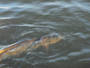 959E8A87-1C48-4301-902A-71CE99778DB6