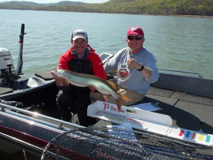 95EE633E-ED8B-49EF-9941-BFE8F28A9241