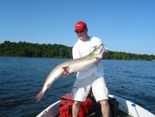 95a6594e-0caf-4d50-beef-2370c9a7b5ab