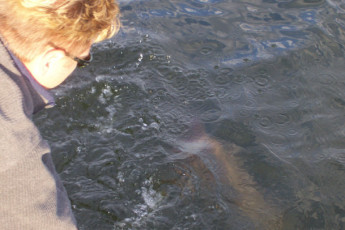 963856aa-b60b-4a79-b0c0-0feea9782a01