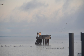 9659EF78-1117-4B54-A016-0F1A82F8A79F