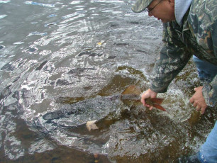 96e0e244-49e5-47ef-9dfa-89ca3f0e3ee7