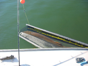 974e5840-aaff-493d-bcc5-1a9ea8230df3