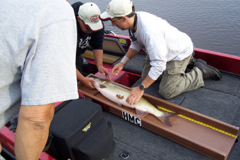 977394f9-f40f-4740-a269-89d8759ebe01