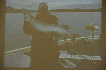 977C8581-353F-4606-B968-C0D0E64EE75C