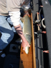 97C0F9FA-78FB-491C-A884-784D26AE2E0D