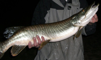 97FFB558-6AF9-4C27-8602-8F7CF9B1EB2A