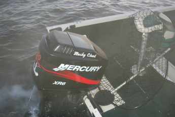 98353e9d-b239-47c1-b528-886beb3a46a9