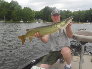 9853D9E0-183A-4945-B732-4C8A9A99FDB3