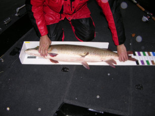 9855450b-eee5-425e-b1ed-ec5609d7e383