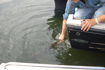 985ADAE0-9DAA-4ADD-806F-2FE96EB3A14A