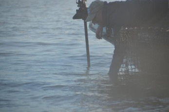 985D966C-0C42-4FB1-AB31-6C5DB9A08D3D