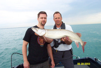 986a3119-9561-45d1-8e2c-ebe03ee7d474