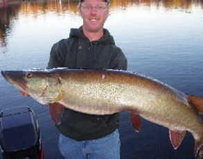 987e2e79-0ab7-45f8-8257-8c86e96df2a3