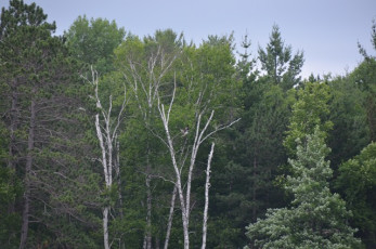 98CDBDFC-A340-4AB7-86FE-F8E3436319C0