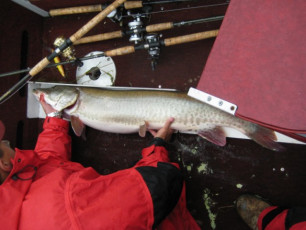 98DF1241-F2C3-49A8-8A17-F6AB783E195B