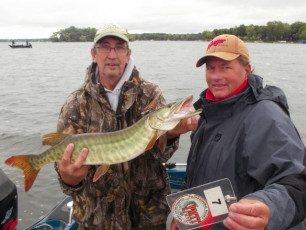 98FA109A-AE7A-462A-94AD-CCE11C6405CB