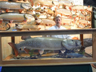 993560A1-8481-474F-8C84-2EA229F15BAA