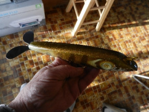 998AB612-ED37-43DE-98D9-4FF02937988D