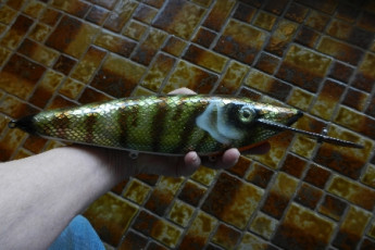 9AB2594D-F134-4A13-AED4-F5601B57C16D