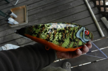 9AC70B89-3662-4449-B03B-95968ED10B99