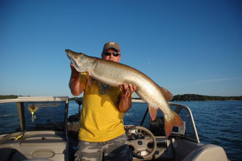 9ACC0BA2-FCF1-4A6B-AB19-CCE795EEADB3