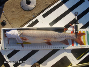 9AE7C187-0664-4662-9C26-C41E6E6589C5