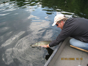 9B59E5BD-1F8B-4CE6-B0C2-7C888430ABBD