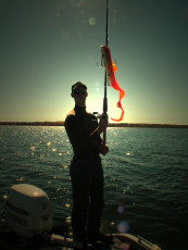 9B8E510F-2947-4D9F-AF09-FFCE0289C1D0