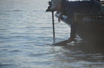 9BAD3449-F905-433F-85E2-4E23347D1213