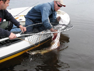 9BB4171C-97D0-43EC-A835-F0E71E1C2874