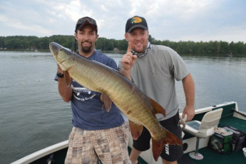 9C333E0D-4BDC-41F8-860F-D4493F9B1836