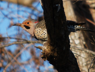 9D3E466C-0309-4749-8629-A2C0CCB45219