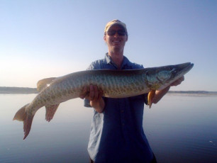 9D448EE5-B6C0-4F0D-9F19-5A379628324D