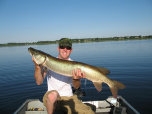 9D90E55F-711E-4BD2-8F28-EA8A2FA06118