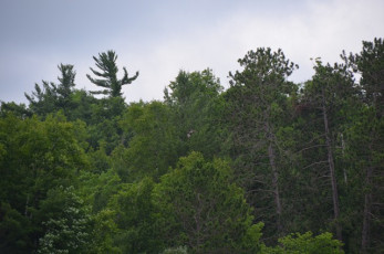 9D9AA5AB-339F-4E32-A969-6DFDC36A8000