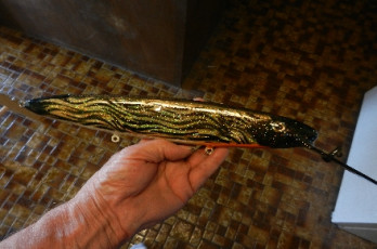 9E3F6303-9F8A-4861-AC3D-EF7C1E46F89B