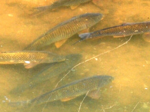 9E70F54E-14BD-4BC8-8FF2-2E844807FA6D