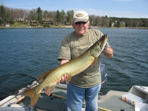 9EA2687C-EAAC-497D-925F-34878C045FE2