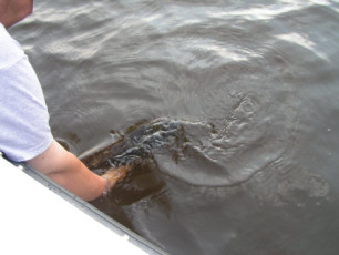 9F0F2432-FAC9-4F92-8072-4323BFF01E2E