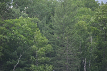 9F70D2AC-81E7-4105-A820-2DE42231940F